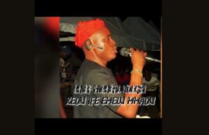 Kedu Ife Emelu Mmadu by Chief Micahel Udegbi