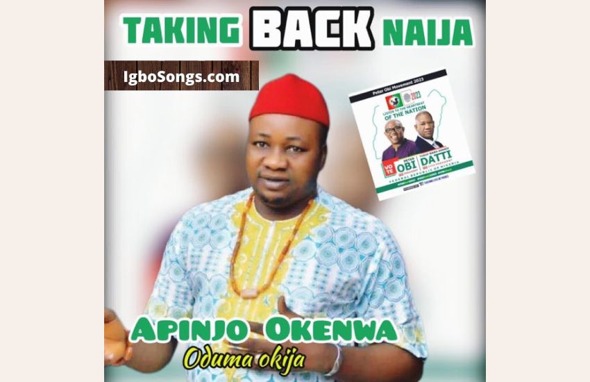 Taking Back Naija by Apinjo Okenwa